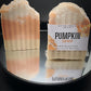 Pumpkin Spice Soap Bar